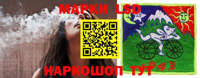 гидропоника Берёзовский