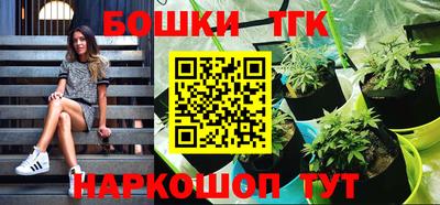 МДПВ Бийск