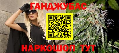 МДПВ Бийск