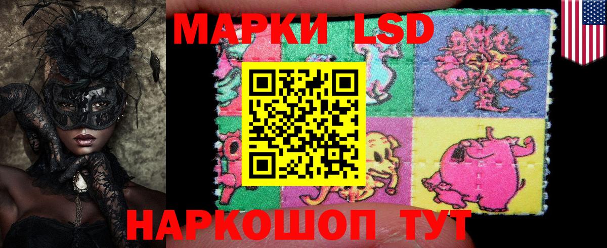 МЕФ Касимов