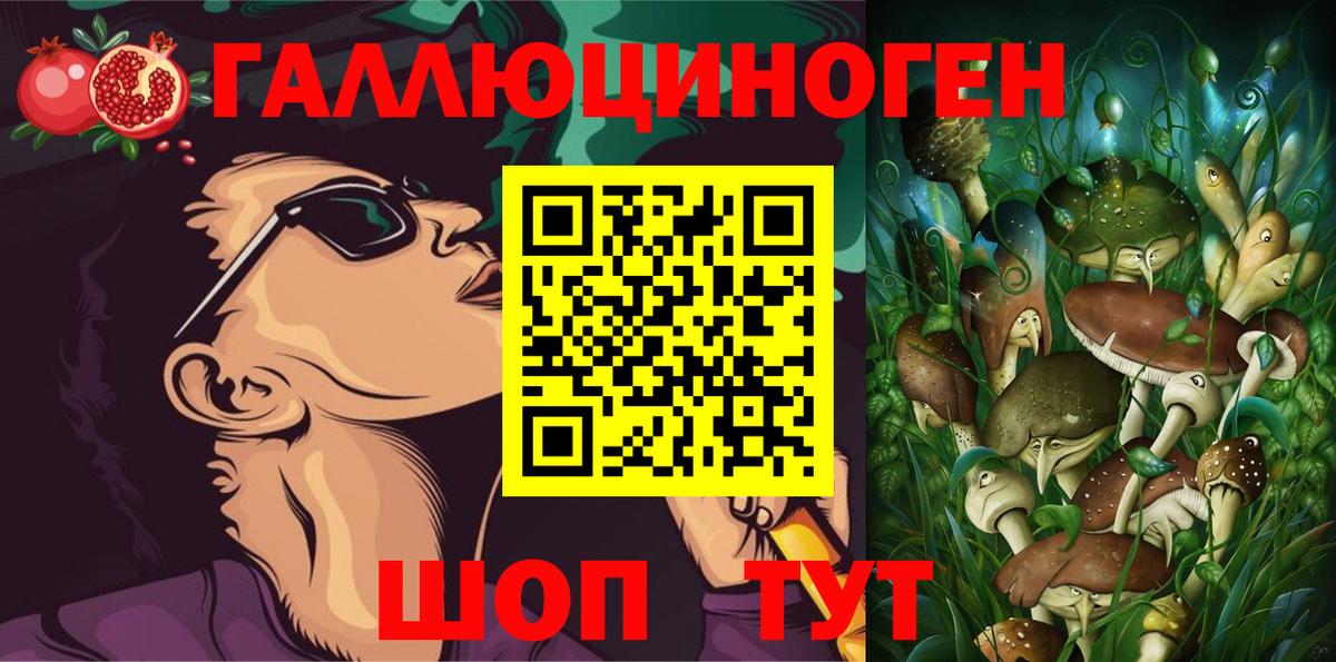 Касимов  Псилоцибиновые грибы мухоморы  наркотики  Вход с VPN  Галлюциногенные грибы мицелий 