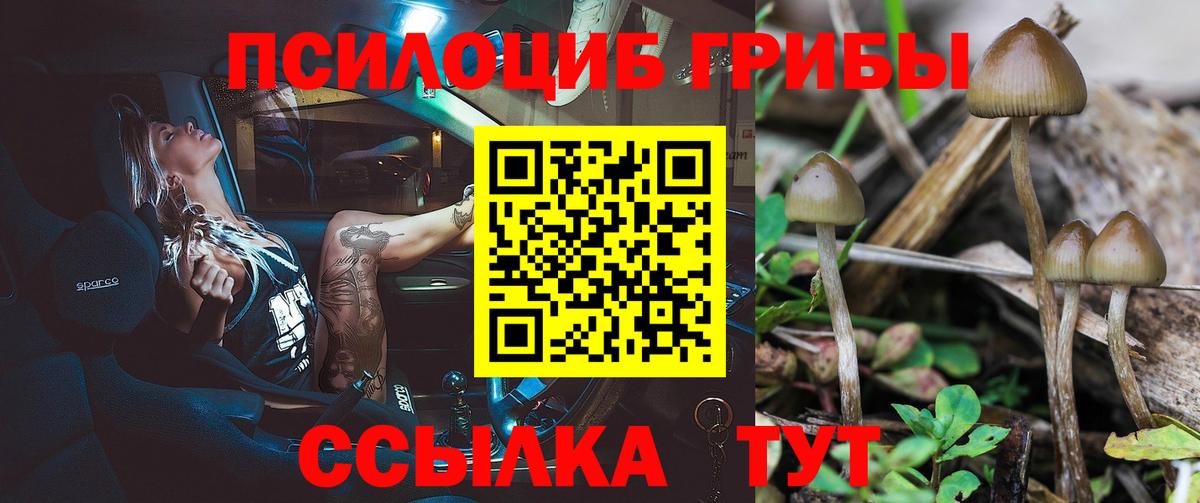 Псилоцибиновые грибы мухоморы Касимов